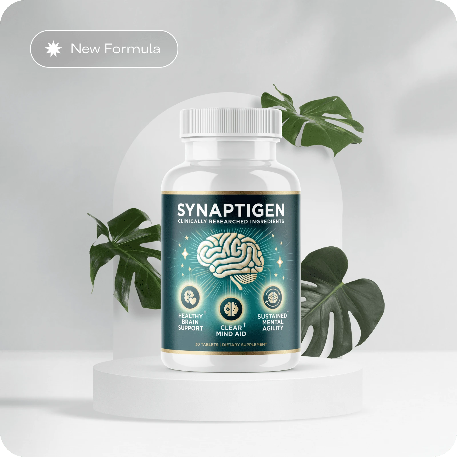 What is Synaptigen?
